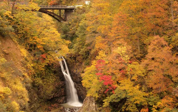 関温泉 (Seki Onsen) - 赤い鉄分を含んだ名湯と紅葉燃える渓谷